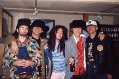 17-JellyfishCheapTrick
